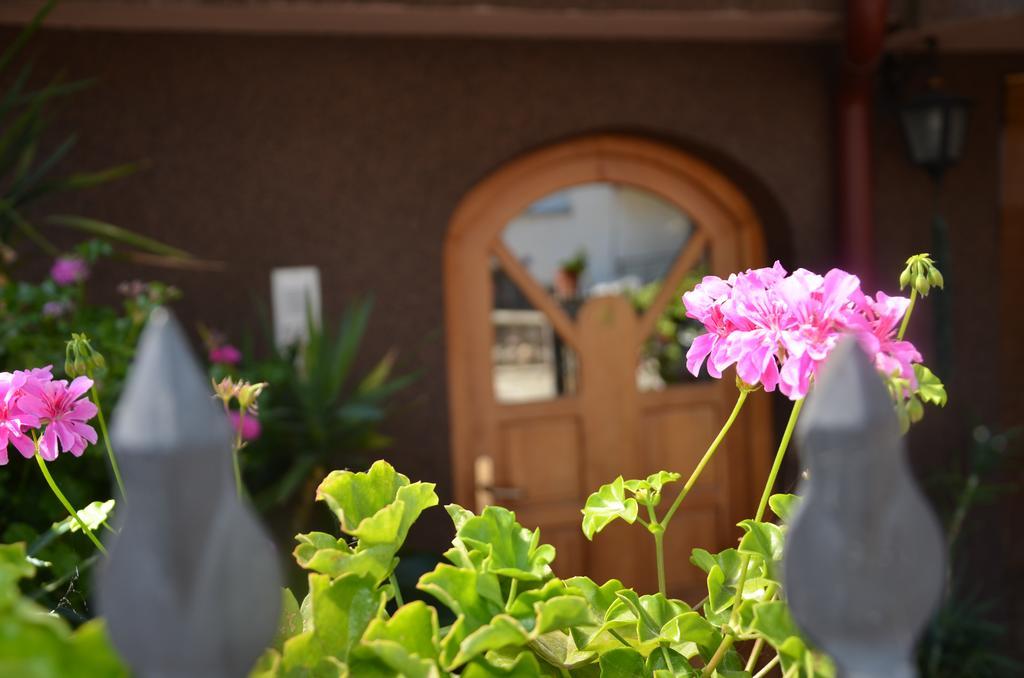 Villa Caci Ohrid Eksteriør bilde